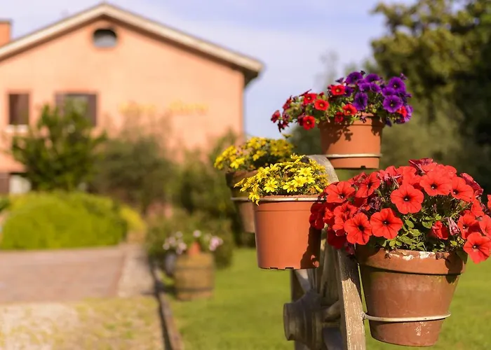 리조트 릴레 레온 도로